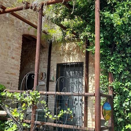 Appartamento La Casina Di Ancicucco 2 San Gimignano Esterno foto